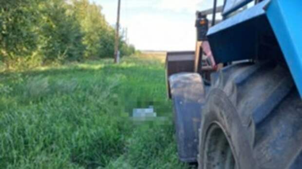 Фото: СУ СКР по Алтайскому краю