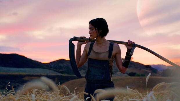 Где на Земле еще остались хорошие плодородные земли