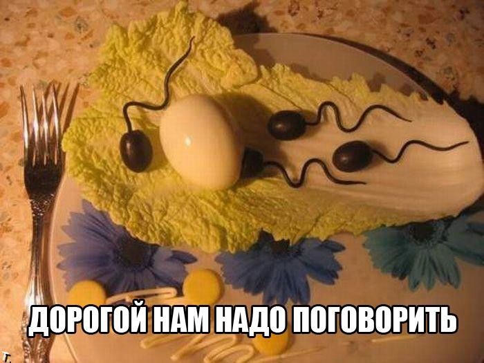 Веселые картинки с надписями до слез (11 фото) Веселые картинки с надписями до слез (11 фото)