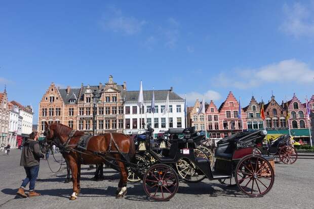 Гостей города прокатят по городским достопримечательностям на карете с запряжённым лошадьми. 