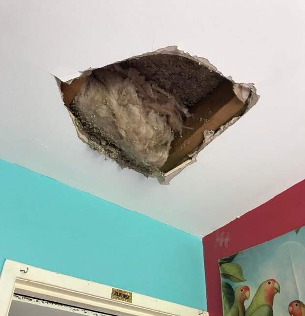 20+ человек, которые просто хотели спокойно отпраздновать Новый год. Но не тут-то было