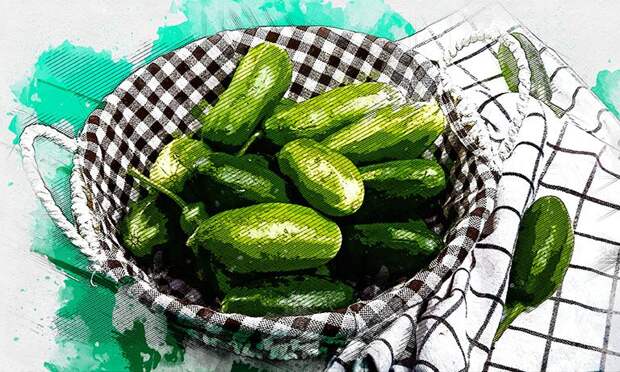 Орловцы предлагают дарить дамам букеты из огурцов