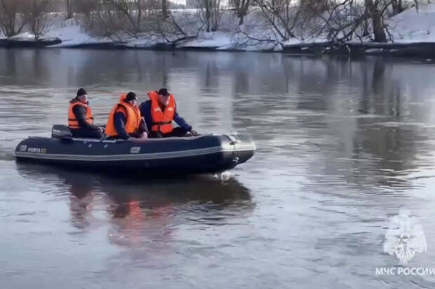 МЧС: зона поисков третьего ребенка в Звенигороде сместилась на 20 км