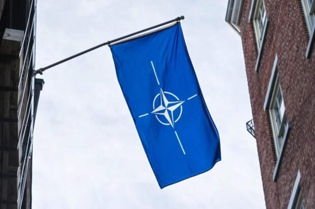 Евродепутат Картайзер назвал ситуацию с Гренландией предательством НАТО