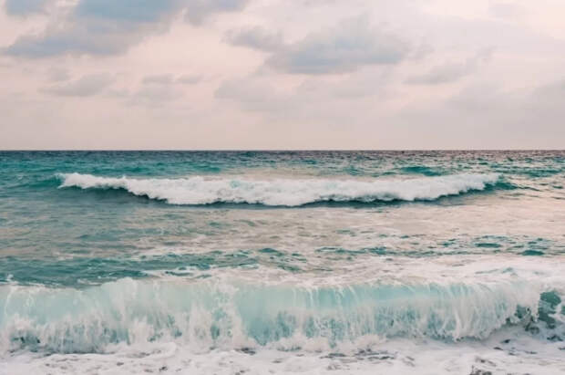 Bild: на острове у берегов Кении застряли тысячи люксовых автомобилей