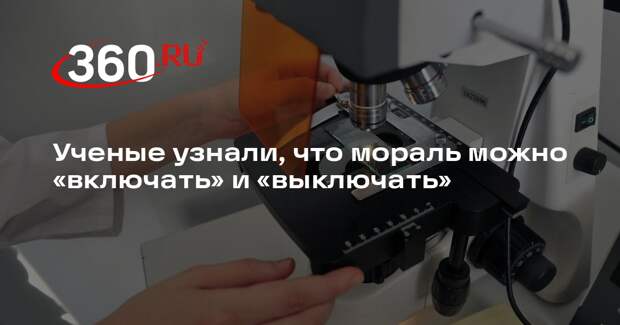 Биологи педуниверсита Гуйчжоу нашли зону мозга, влияющую на моральные решения