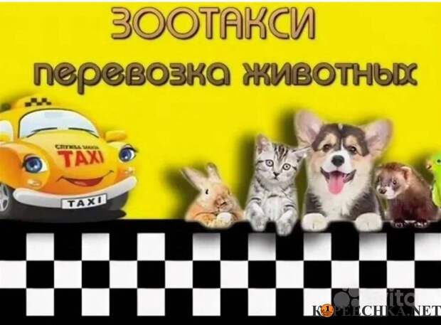 Зоотакси. Перевозка домашних животных в Донецке - Договорная