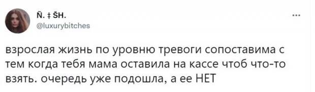 Приколы про взрослую жизнь