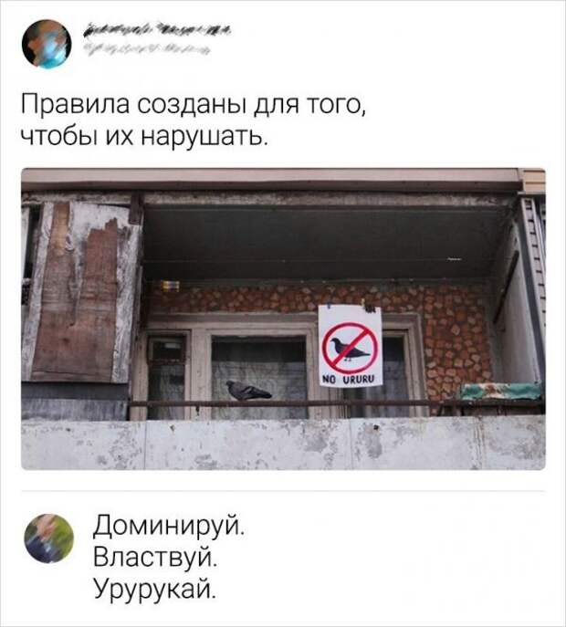 Скрины из соцсетей