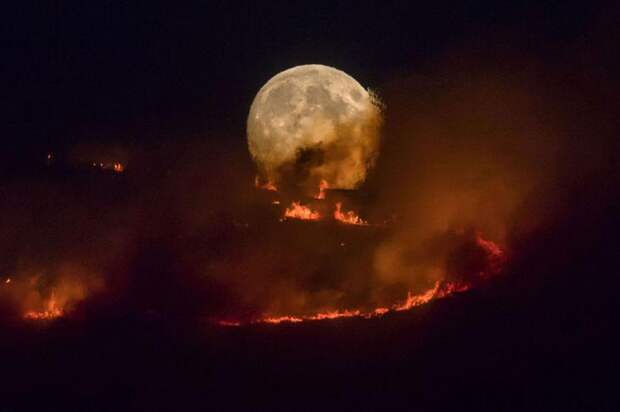 Луна и горящие леса, Англия