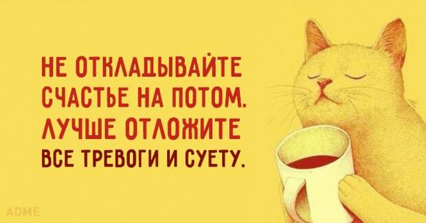 Солнечные открытки с правильным отношением к жизни