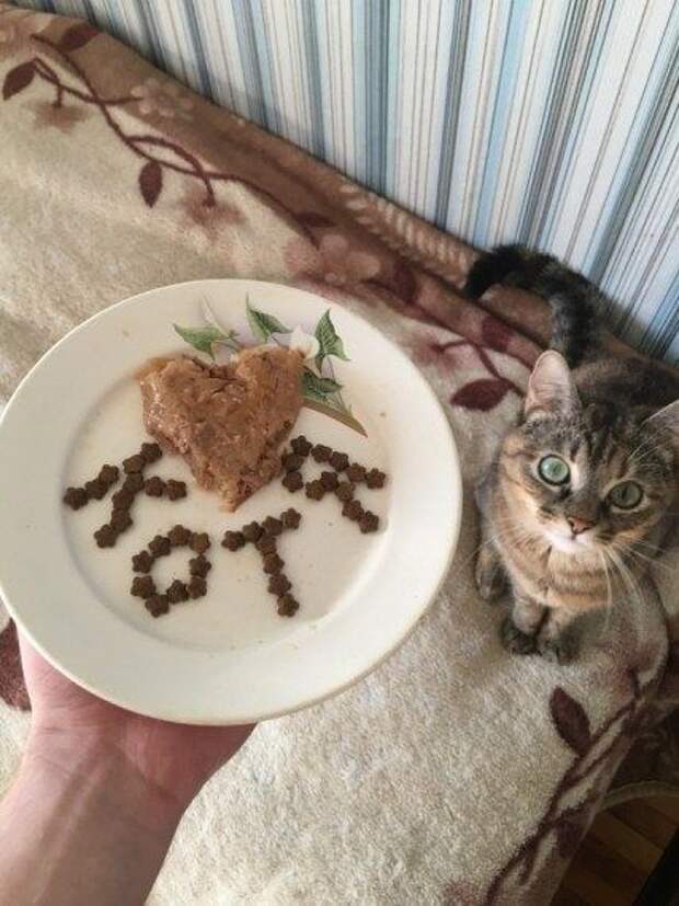 Новые прикольные картинки дня!!!