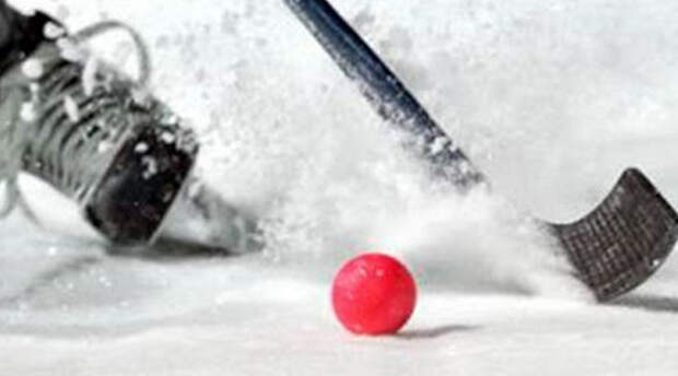 Московское «Динамо» стало обладателем Суперкубка по хоккею с мячом