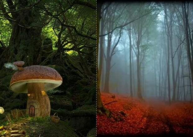 Шварцвальдский лес представляли сказочным и мистическим местом