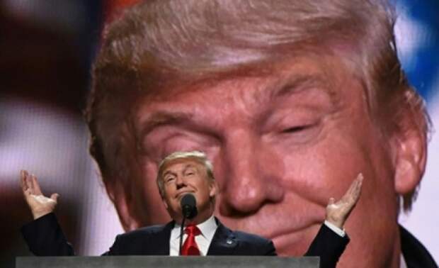 В США обсуждается возможное убийство Дональда Трампа 