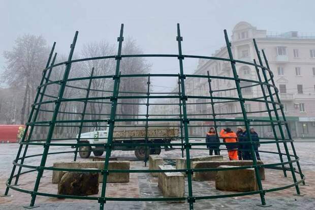 В Новомосковске началась установка новогодней елки