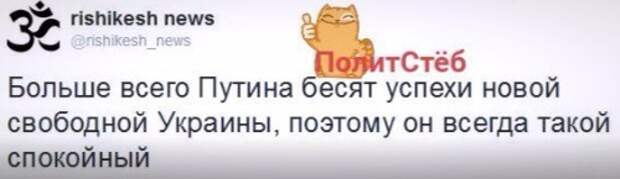 724038c60b21.jpg