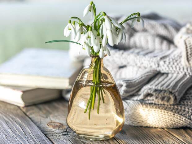 20 марта — День весеннего равноденствия. Каким знакам зодиака повезет, а кого ждут неудачи