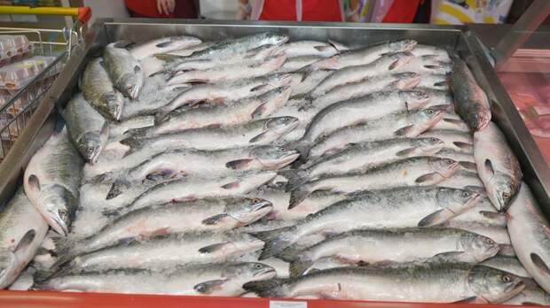 Программу «Доступная рыба» на Камчатке реализуют в этом году