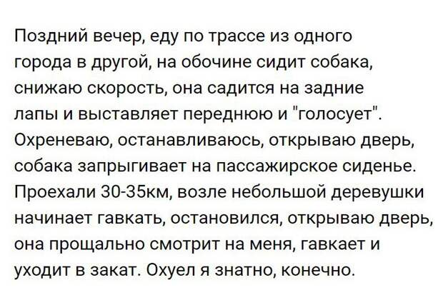 Замечательные картинки с надписями для поднятия настроения (11 фото) Замечательные картинки с надписями для поднятия настроения (11 фото)