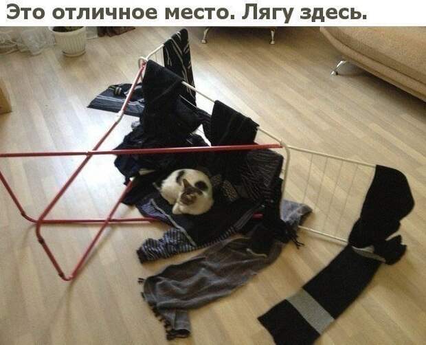 2861024469 (600x486, 160Kb)