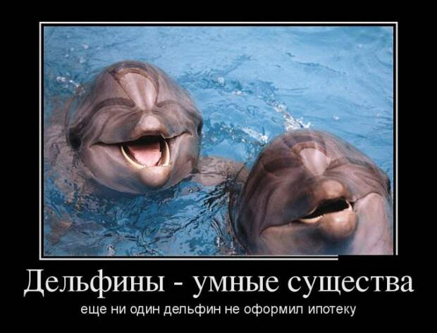 Демотиваторы (30 фото)