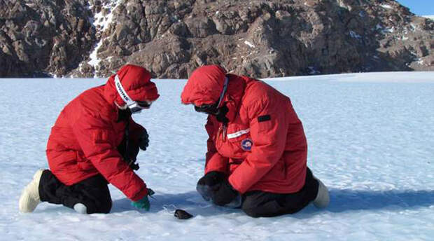 Таинственный древний метеорит В 2015 году ученые НАСА обнаружили в Антарктиде метеорит, упавший еще тринадцать тысяч лет назад. Оказалось, что прилетел он с Марса, а внутри сохранились образцы микробов Красной планеты.