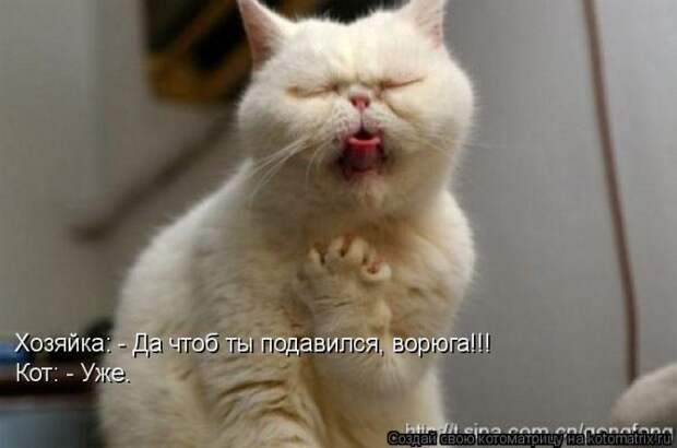 Мысли вслух :)