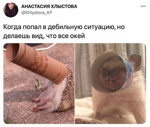 Все окей )
