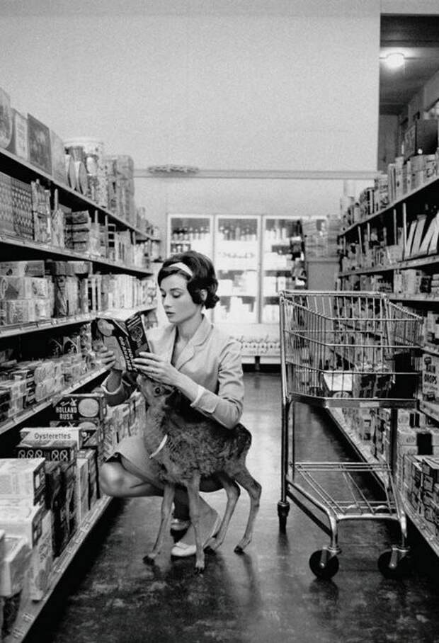 Одри Хепберн делает покупки со своим домашним любимцем, 1958 год  знаменитости, история, фото