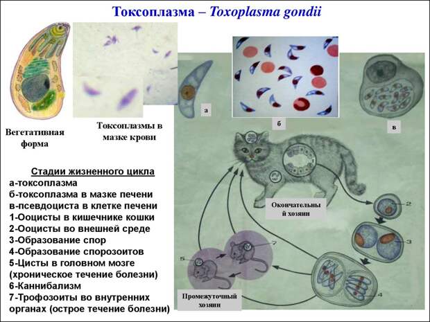 slide-10.jpg