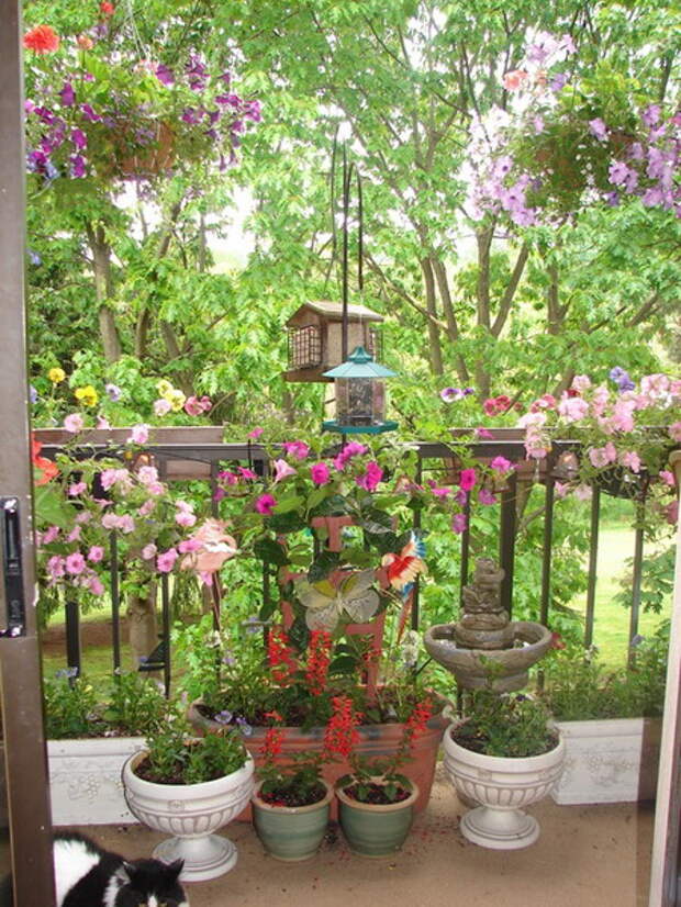 flowers-on-balcony1-3.jpg
