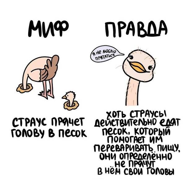 Интересные и короткие факты на все случаи жизни
