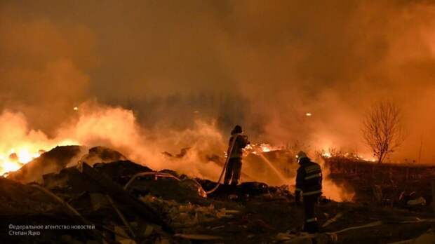 Пожарные локализовали один из четырех очагов тления в Чернобыльской зоне