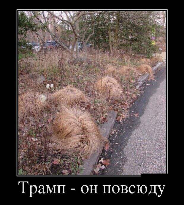 Демотиваторы (30 фото)