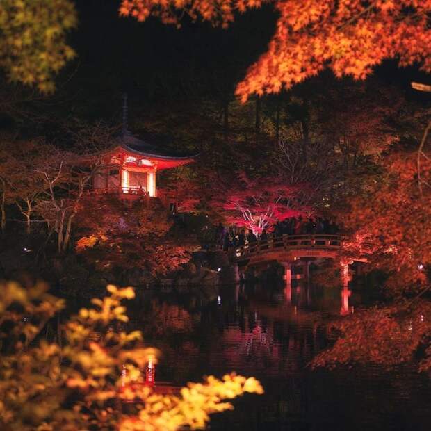 Фотограф сделал невероятные осенние снимки в Японии 