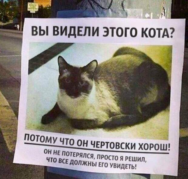 www.vsyako.net