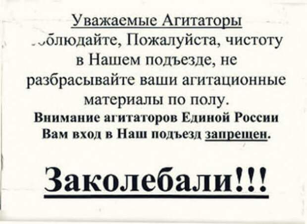 Смешные объявления из подъездов (16 фото)
