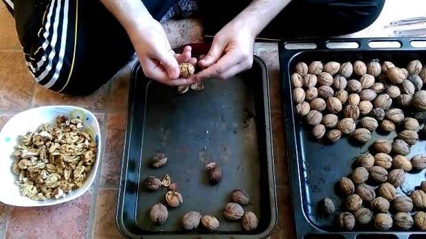 Как правильно хранить грецкие орехи