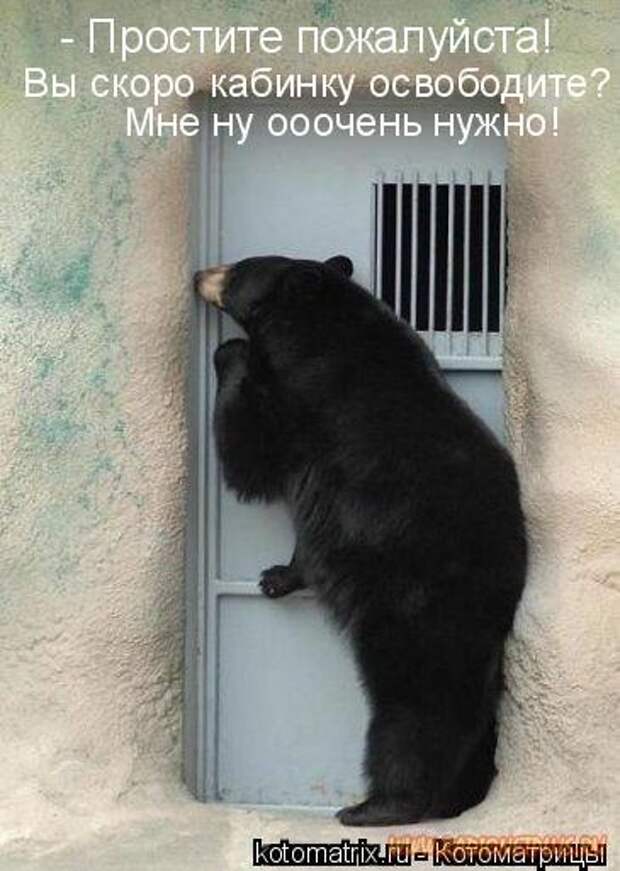 Животный позитивчик