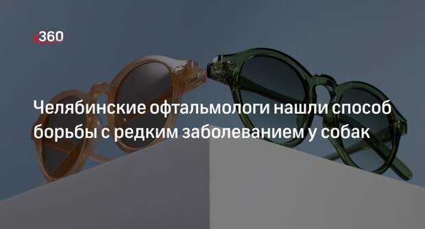 Shot: собак в Челябинске стали лечить с помощью солнцезащитных очков