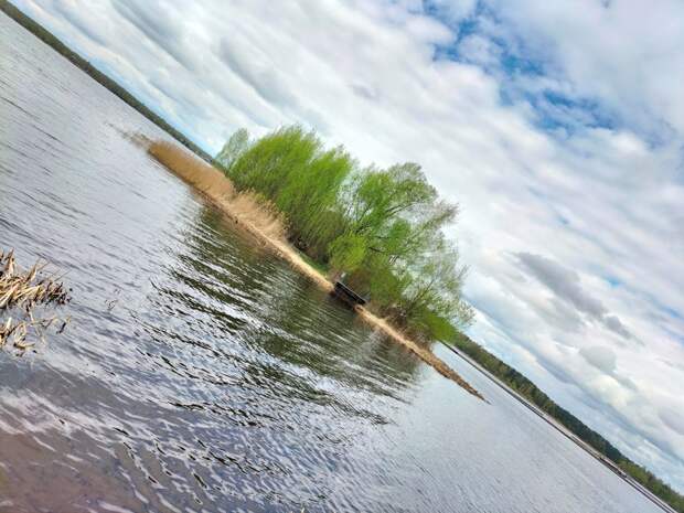 Волга. Фото: Екатерина Попова-Гамаюн