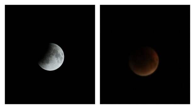 Стало известно, где в России будет видна "кровавая Луна"