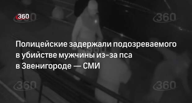 Shot: подозреваемого в убийстве жителя Звенигорода из-за лая собаки задержали