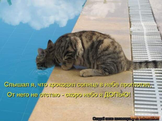 Уфф!!! Ну наконец-то! Котоматрицы великолепные, каждая с улыбкой и хорошим настроением!