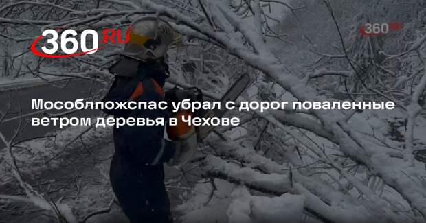 Мособлпожспас убрал с дорог поваленные ветром деревья в Чехове