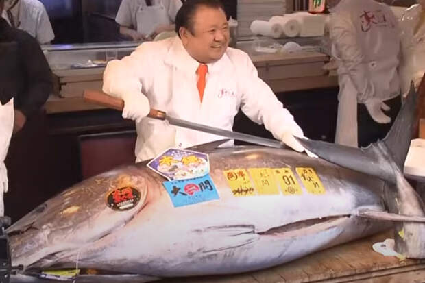 Самую дорогую рыбу в мире продали за 253 миллиона рублей