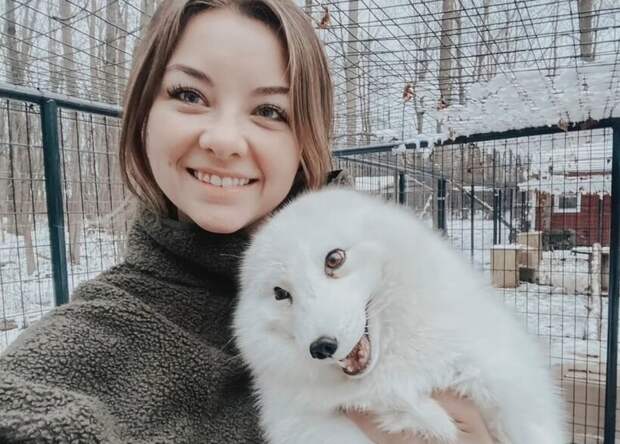 Настоящая лисья энтузиастка спасла лис, которые были живыми экспонатами