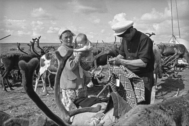 Семья ненцев-оленеводов Всеволод Тарасевич, 1965 год, Архангельская обл., Ненецкий НО, МАММ/МДФ.
