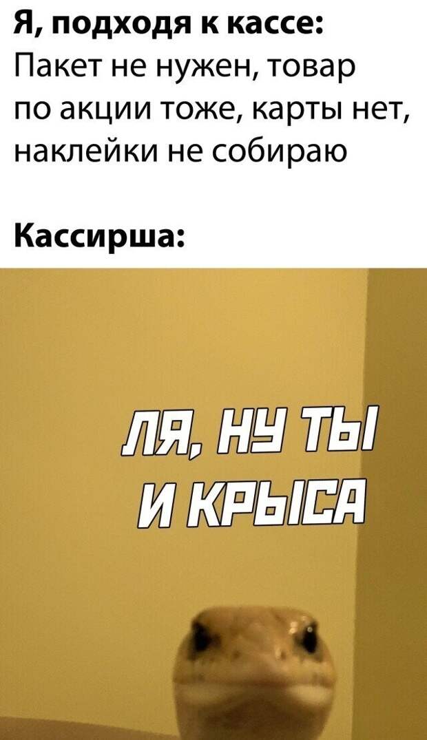 45 смешных фото для тех, кто внезапно загрустил